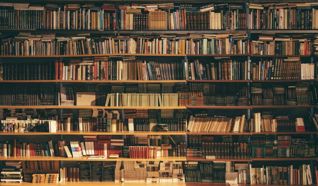 Library bookshelves — illustrative stock image